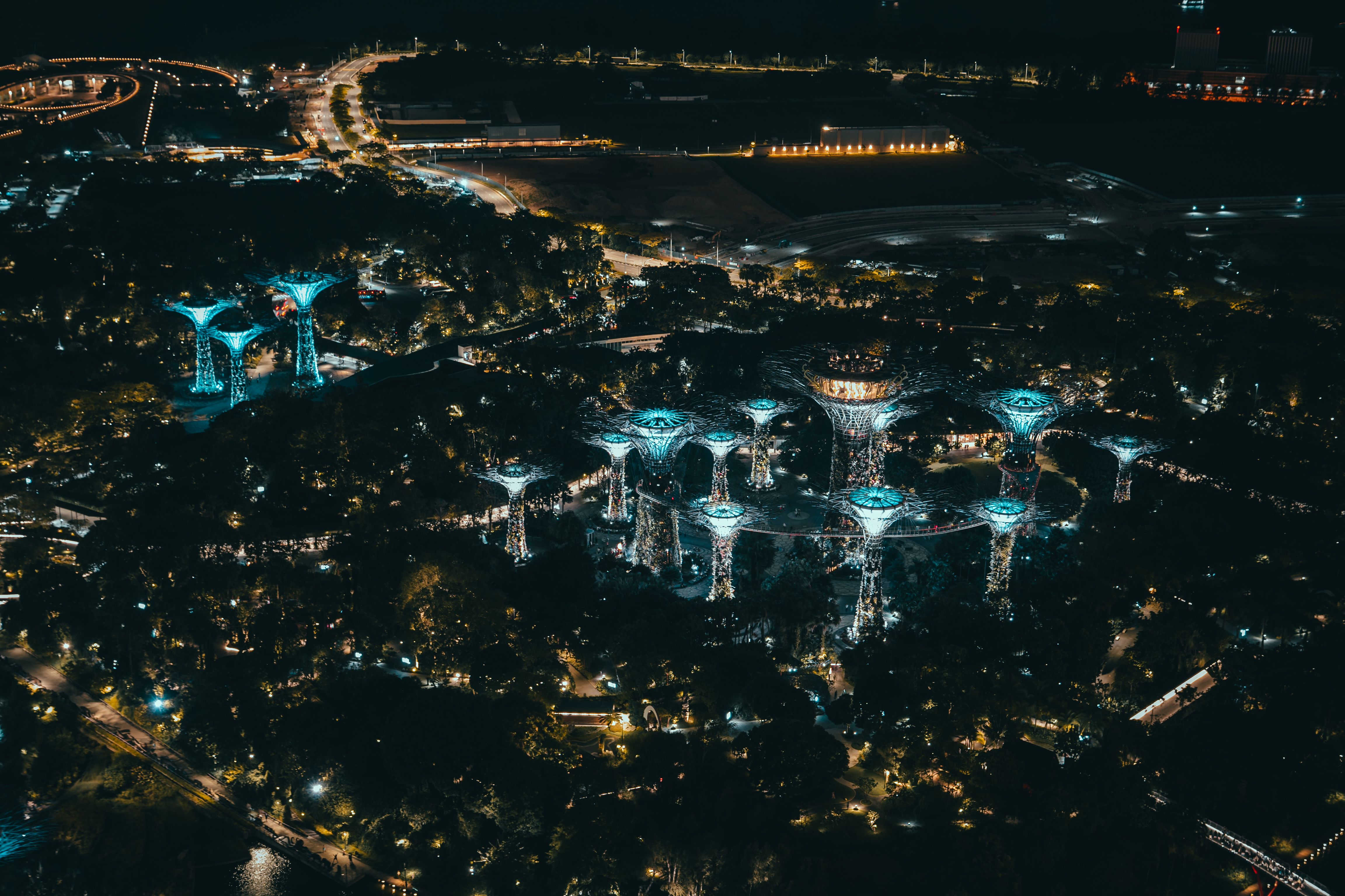 Aerial nighttime view of a cluster of illuminated, tree-shaped lattice towers linked by a lit elevated walkway, rising above a dark canopy of trees, with roads, a large lit building, and city skyscrapers visible in the distance.