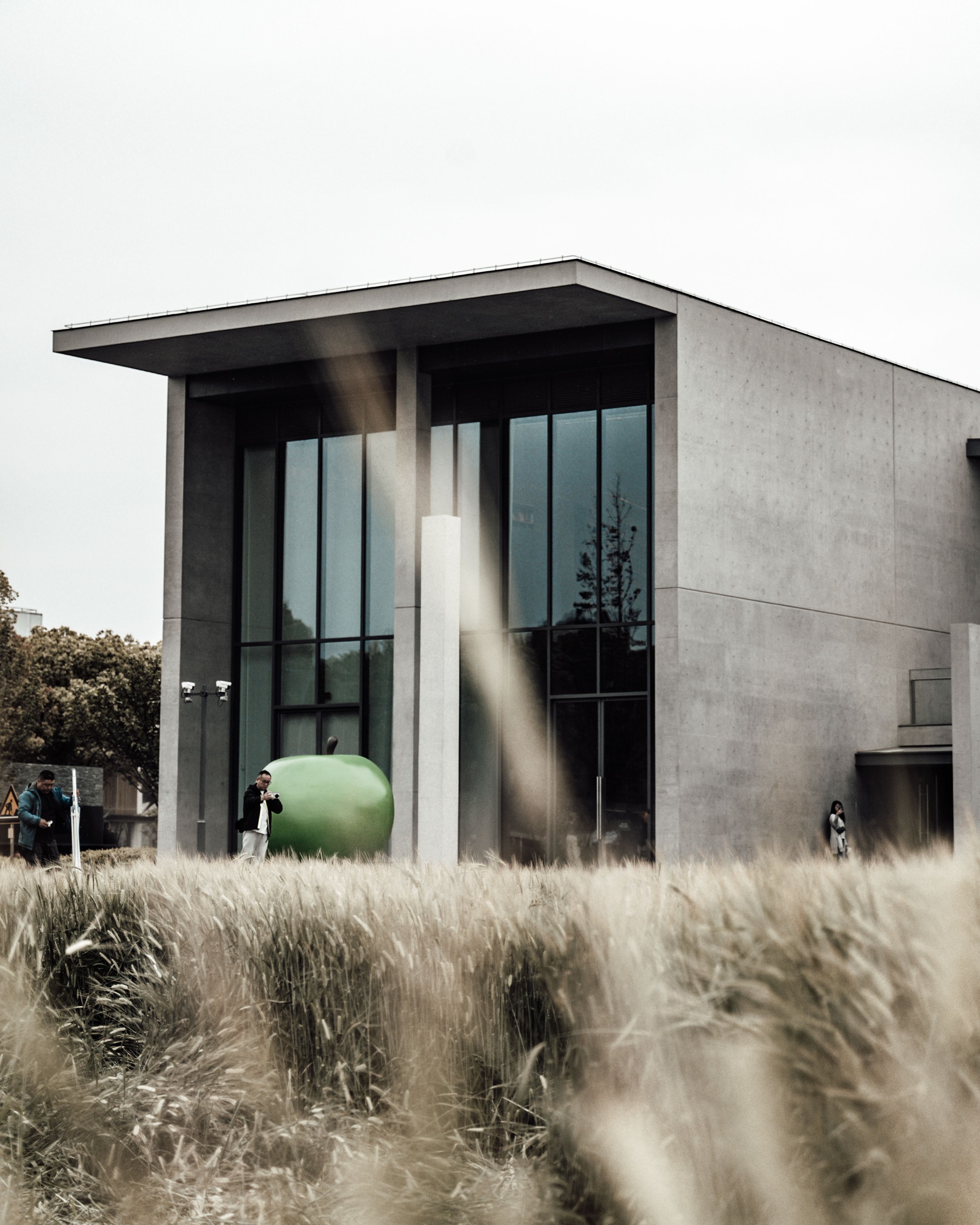 A grey concrete building with tall glass windows and a large green apple sculpture standing near its entrance is seen beyond a foreground of out-of-focus tall grass, with a few people near the doorway under an overcast sky.